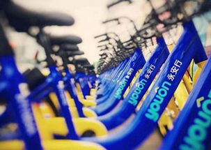 共享单车第一股上市在即 新锐品牌以广告创新引领行业变革